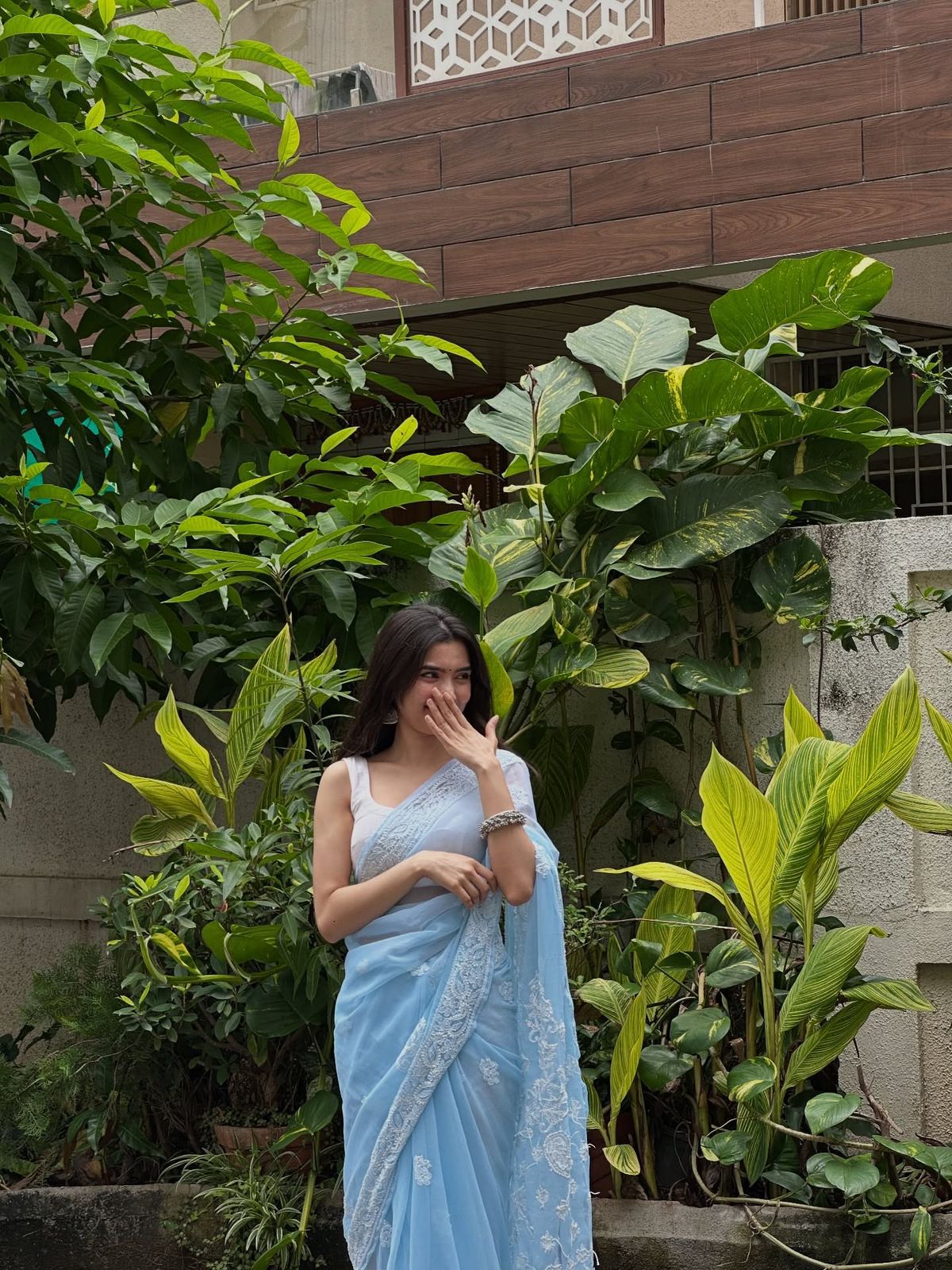 Soft Georgette Saree